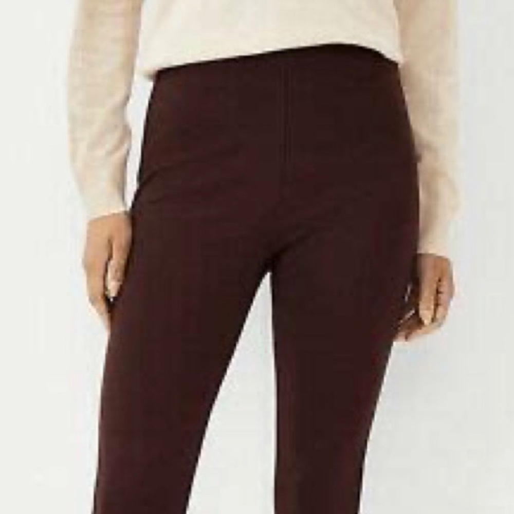 NWT Ann Taylor The Side Zip Leggings